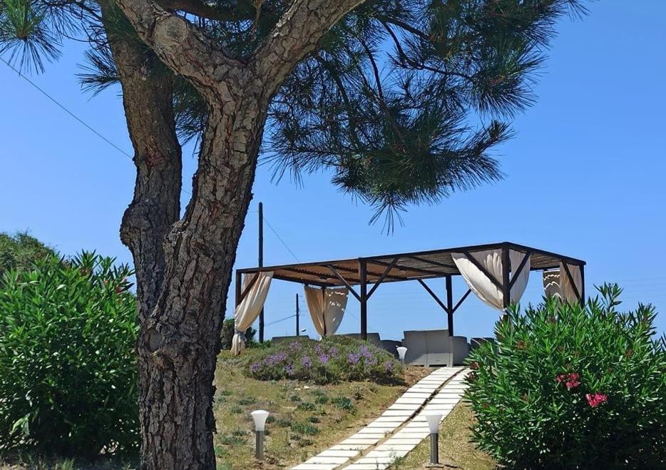 Elli Beach Apartments And Studios Almiros Beach Exterior photo